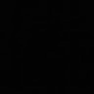 Meet your Posher, Ivanna